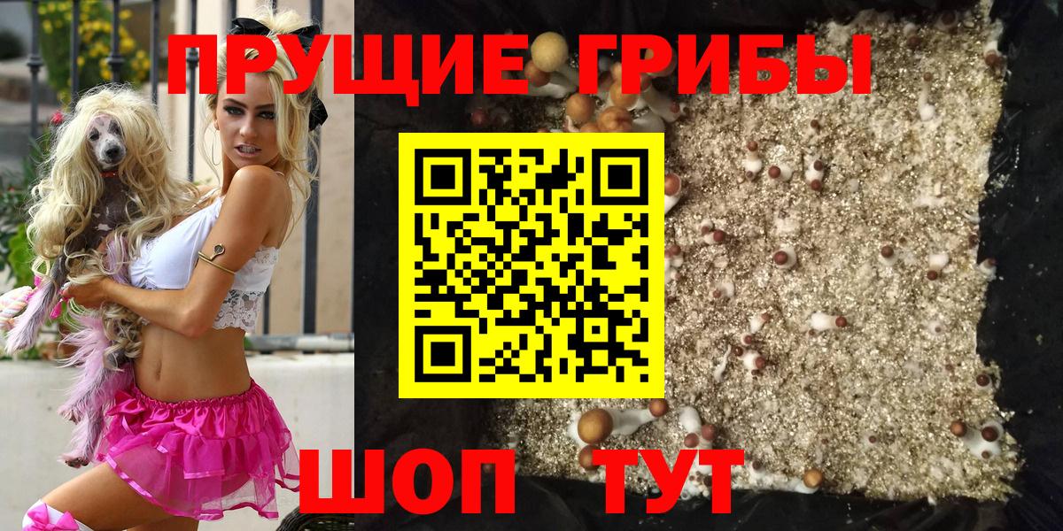 Псилоцибиновые грибы MAGIC MUSHROOMS Тихорецк